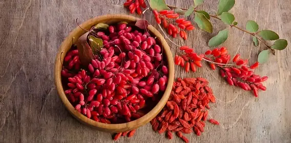 Barberine