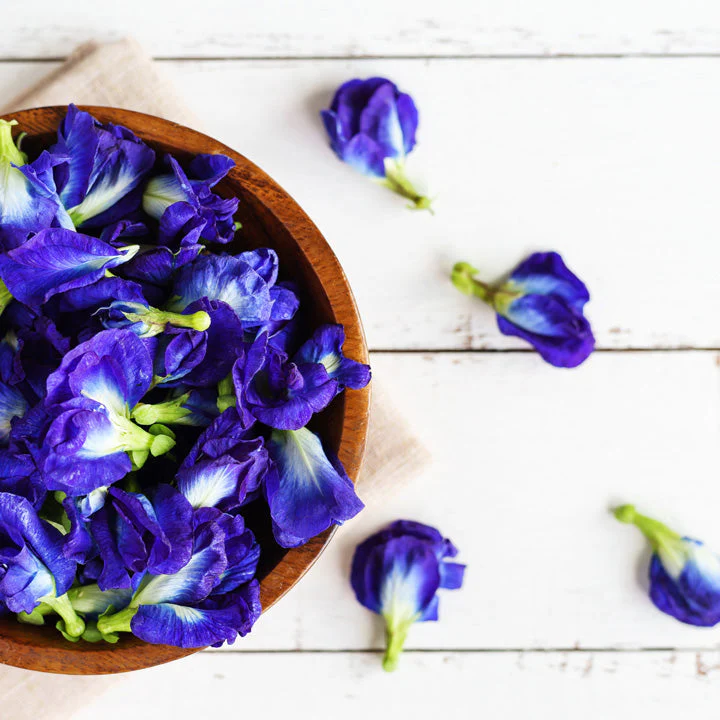 Butterfly Pea Extract